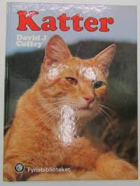 Katter