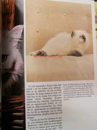 Katter