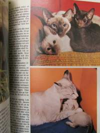 Katter