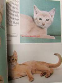 Katter