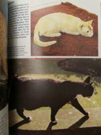 Katter