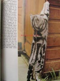 Katter