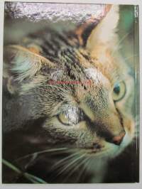 Katter