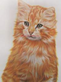 Katter - Bild handboken 0m