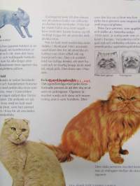 Katter - Bild handboken 0m