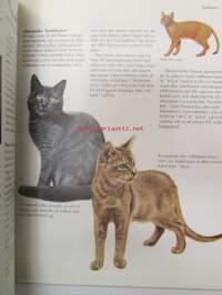 Katter - Bild handboken 0m