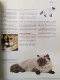 Katter - Bild handboken 0m