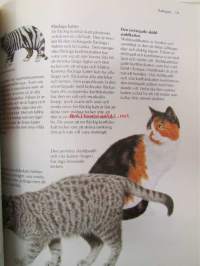Katter - Bild handboken 0m