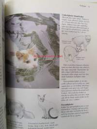 Katter - Bild handboken 0m