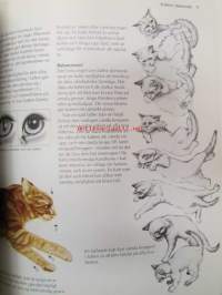 Katter - Bild handboken 0m