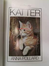 Katter - Våra favoriter, Special