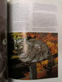 Katter - Våra favoriter, Special