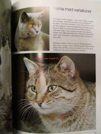 Katter - Våra favoriter, Special