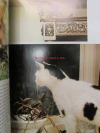World of CATS in full color