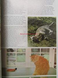 World of CATS in full color