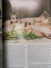 World of CATS in full color