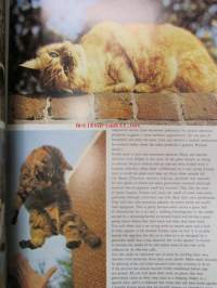 World of CATS in full color