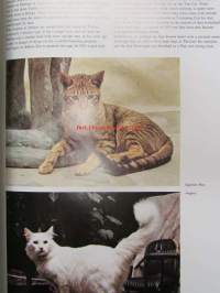 World of CATS in full color