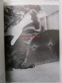 Understanding your Cat