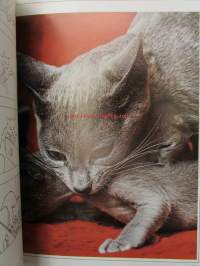 Understanding your Cat