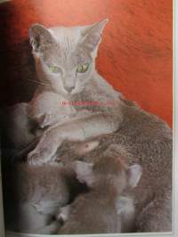 Understanding your Cat