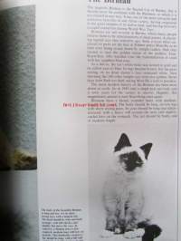 Understanding your Cat