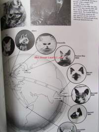 Understanding your Cat