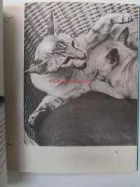 The Batsford book of The Siamese Cat
