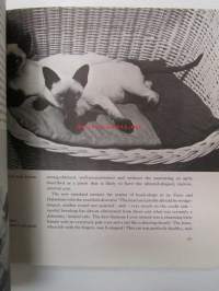 The Batsford book of The Siamese Cat