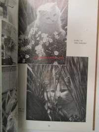 Our Cats