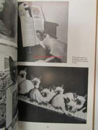 Our Cats