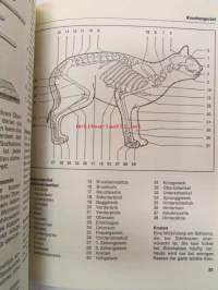 Katzen Lexikon - Ernährung, Pflege, Rassen