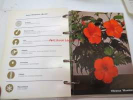 Tanskasta - tanskalaiset viljelijät... laaja esittelykansio huonekasvivalikoimista