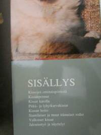 Ystävämme KISSAT