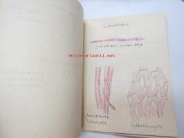 Anatomian vihko - Salme Punovuori