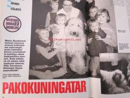 Alibi 1996 nr 11, sis. mm. artikkelit / kuvat / mainokset; Keijo Kivelä, Kim Löfgren, Markku Hiltunen, Timo Helin, Aulis Hinkkuri, Kari Natunen, Vesa Laukkanen,