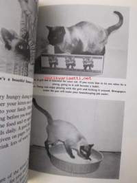 Saimese Cats