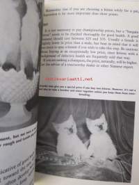 Saimese Cats