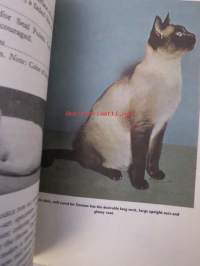 Saimese Cats