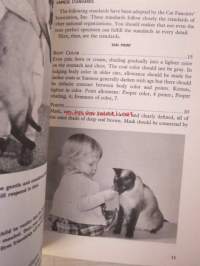 Saimese Cats