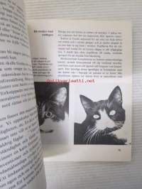 Egen katt - Den Moderna handboken