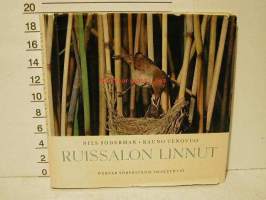 Ruissalon linnut10