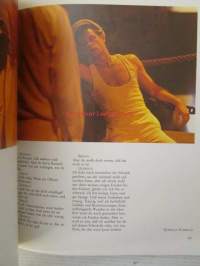 Rainer Werner Fassbinder Querelle Filmbuch
