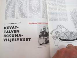 Kodin Maailma 1965 nr 2, sis. mm. seur. artikkelit / kuvat / mainokset; Vanha asunto viihtyisäksi, Omakotitalo Sisä-Suomessa, Eva-ompelukoneet, Huvilan hankkijan