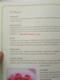 Macaronleivokset