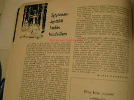 kotiseudun joulu