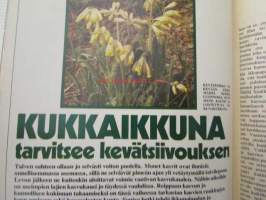 Pientalo Omakoti 1975 nr 3, sis. mm. seur. artikkelit / kuvat / mainokset; Kodin taide Tuula Auermaa, Lampaanreidestä pääsiäispaisti, Libanon Byblos -