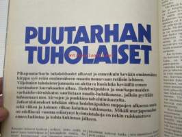Pientalo Omakoti 1975 nr 3, sis. mm. seur. artikkelit / kuvat / mainokset; Kodin taide Tuula Auermaa, Lampaanreidestä pääsiäispaisti, Libanon Byblos -