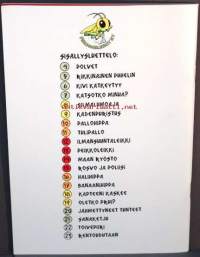 Levosta Lentoon