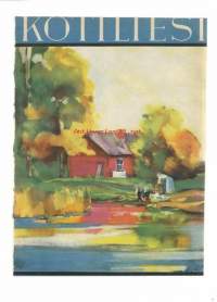 Kotiliesi 1931 nr 18  kansi Syyspyykillä/E Muona, oppikoulut, sähkötapaturmat, kotitalouskerhot, raakaravinto, Vienan-Karjalan emännän leivonnaisia, kodin ryijypuut